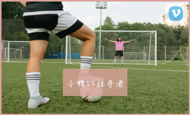 小鸭vs掠夺者