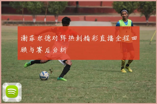 谢菲尔德对阵热刺精彩直播全程回顾与赛后分析