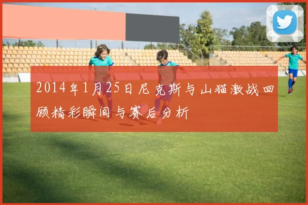 2014年1月25日尼克斯与山猫激战回顾精彩瞬间与赛后分析