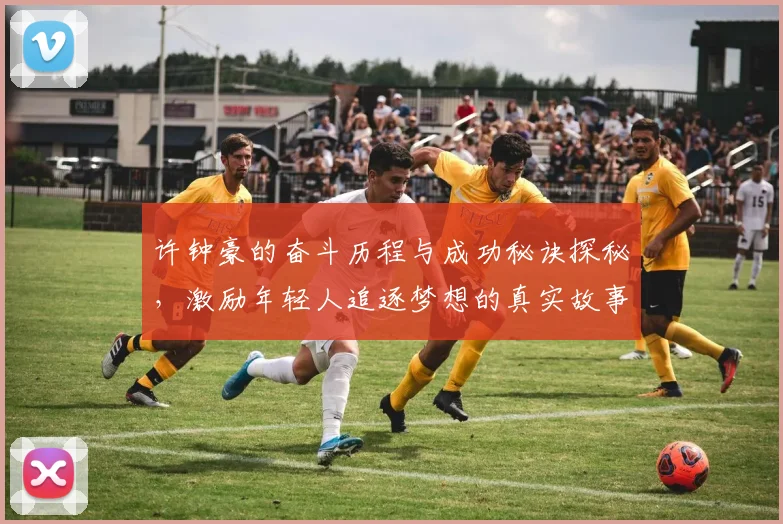 许钟豪的奋斗历程与成功秘诀探秘，激励年轻人追逐梦想的真实故事