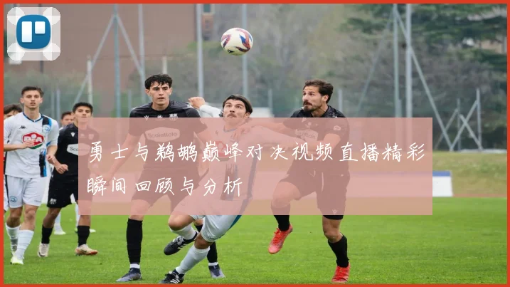 勇士与鹈鹕巅峰对决视频直播精彩瞬间回顾与分析